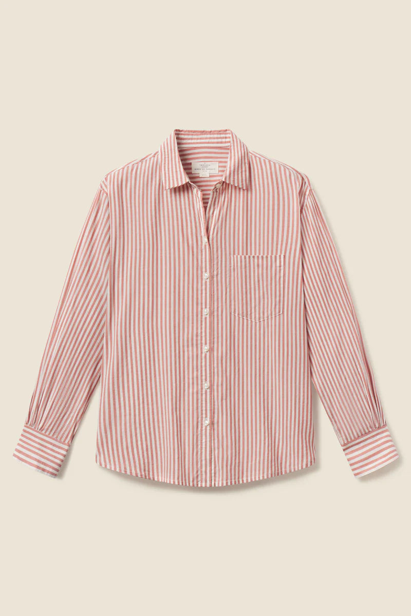 Trovata Blake Buttondown Shirt in Brandy Stripe