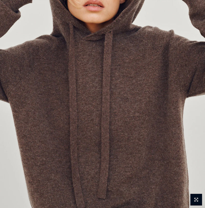 Cashmere Cathy Hoodie in Dark Brown