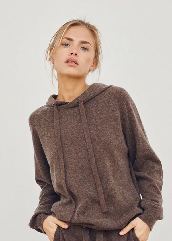 Cashmere Cathy Hoodie in Dark Brown